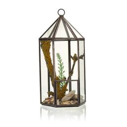 KDMD Glass Terrarium - Lantern Shape in Brown - thumbnail 2