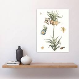 "Artery8 Keizerskroon Tulip & Butterfly Teyler Wall Art Poster Print in White - Size: W12"" x H16""" - thumbnail 4
