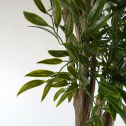 Leaf Artificial Plant Ruscus Tree- 2716 leaves UV PROTECTED OUTDOOR Botanik in Green - thumbnail 3
