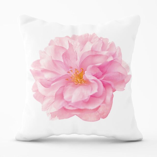 Warren Reed - Designer Single Cherry Blossom Outdoor Cushion in Pink - Size: 60 cm x 60 cm - image 1