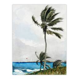 Artery8 Winslow Homer Palm Tree in Nassau Watercolour Framed Art Picture Print - Size: A4 - thumbnail 3