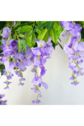 Living and Home 2 Pcs Artificial Wisteria Flowers Garland Decoration in Purple - thumbnail 2