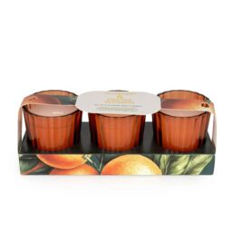 Candlelight Set of 3 Mini Votive Candles Mandarin & Orange Blossom - thumbnail 1