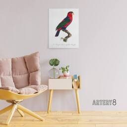 "Artery8 The Black Capped Lory Parrot Levaillant Canvas Wall Art Print in White - Size: W24"" x H32""" - thumbnail 3