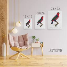 "Artery8 The Black Capped Lory Parrot Levaillant Canvas Wall Art Print in White - Size: W24"" x H32""" - thumbnail 4