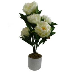 Leaf 55cm Artificial White Peony Plant - thumbnail 1