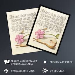 Artery8 Mayfly Red Campion & Pear Calligraphy Framed Wall Art Print in Beige - Size: A4 - thumbnail 2
