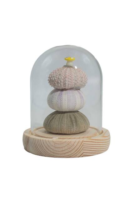 KDMD Floral Glow Garden Dome with 3 Sea Urchins - LED USB Decor - image 1