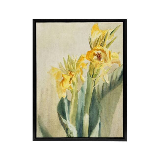 "Artery8 Yellow Canna Lily Flowers Framed Canvas Wall Art Print Hannah Overbeck in Beige - Size: W12"" x H16""" - image 1