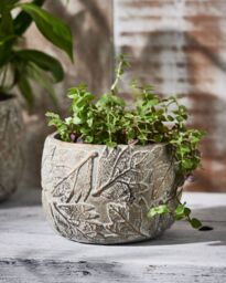 Dibor Contemporary Grey Leaf Embossed Small Flower Planter Indoor Outdoor Plant Pot (H) 11cm, (Dia)16cm - Size: Medium