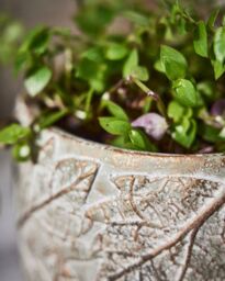 Dibor Contemporary Grey Leaf Embossed Small Flower Planter Indoor Outdoor Plant Pot (H) 11cm, (Dia)16cm - Size: Medium - thumbnail 2