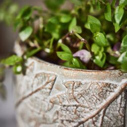 Dibor Contemporary Grey Leaf Embossed Small Flower Planter Indoor Outdoor Plant Pot (H) 11cm, (Dia)16cm - Size: Medium - thumbnail 4