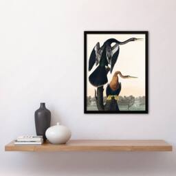 Artery8 John James Audubon Framed Wall Art Print Black Bellied Darter Bird in White - Size: A4 - thumbnail 2