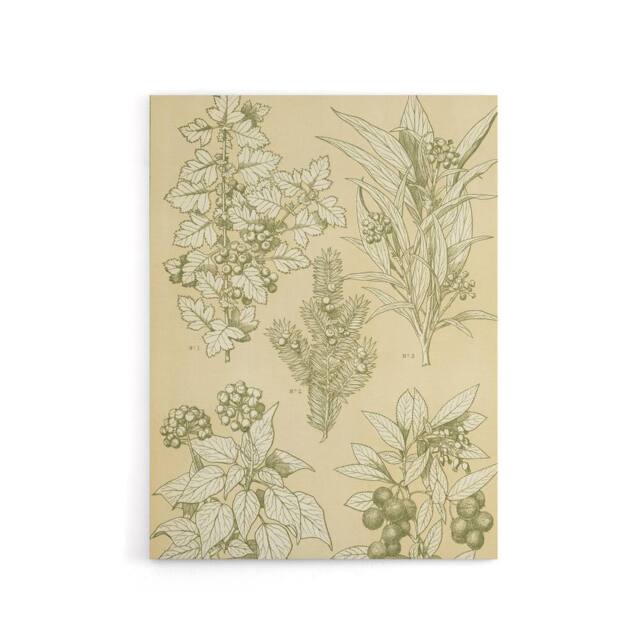 "Artery8 Leaves From Nature No 7 Botanical Jones Vintage Canvas Wall Art in Beige - Size: W18"" x H24""" - image 1