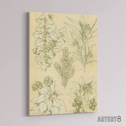 "Artery8 Leaves From Nature No 7 Botanical Jones Vintage Canvas Wall Art in Beige - Size: W18"" x H24""" - thumbnail 2