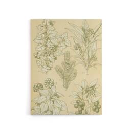 "Artery8 Leaves From Nature No 7 Botanical Jones Vintage Canvas Wall Art in Beige - Size: W18"" x H24""" - thumbnail 1