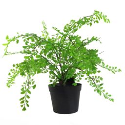 Leaf 35cm Artificial Potted Fern Plant (Southern Maidenhair Fern) in Green - thumbnail 1