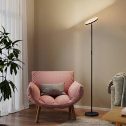 HOMCOM RGB Floor Lamp with Rotatable Head, Modern Standing Lamp, Black - Size: Large