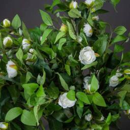 Lemon Pavilion Furniture and Decor Gardenia Stem Artificial Plant - L10 x W45 x H90 cm - Cream in Beige - thumbnail 4