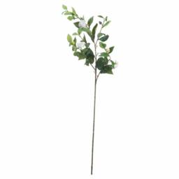 Lemon Pavilion Furniture and Decor Gardenia Stem Artificial Plant - L10 x W45 x H90 cm - Cream in Beige - thumbnail 2