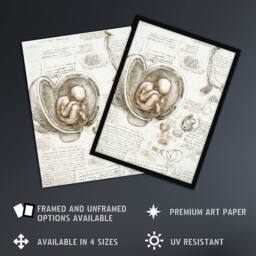 Artery8 Studies of the Foetus in the Womb da Vinci Framed Wall Art Print in Beige - Size: A4 - thumbnail 2