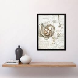 Artery8 Studies of the Foetus in the Womb da Vinci Framed Wall Art Print in Beige - Size: A4 - thumbnail 4