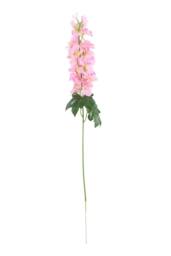 KDMD Essential Pink Arundel Garden Delphinium 77cm 3 Pack - thumbnail 6