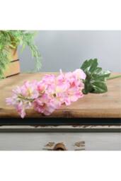KDMD Essential Pink Arundel Garden Delphinium 77cm 3 Pack - thumbnail 7