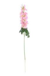 KDMD Essential Pink Arundel Garden Delphinium 77cm 3 Pack - thumbnail 3