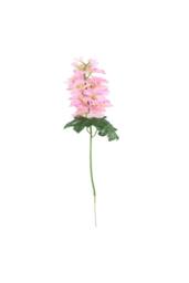 KDMD Essential Pink Arundel Garden Delphinium 77cm 3 Pack - thumbnail 2