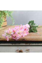 KDMD Essential Pink Arundel Garden Delphinium 77cm 3 Pack - thumbnail 5