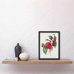 "Artery8 Camelia Floral Illustration Redoute Vintage Framed Wall Art Print in White - Size: W12"" x H16""" - thumbnail 4