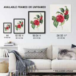 "Artery8 Camelia Floral Illustration Redoute Vintage Framed Wall Art Print in White - Size: W12"" x H16""" - thumbnail 3