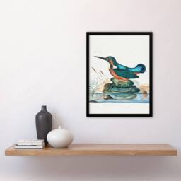 Artery8 Common Kingfisher Vintage Illustration Bolton Framed Wall Art Print - Size: A4 - thumbnail 2