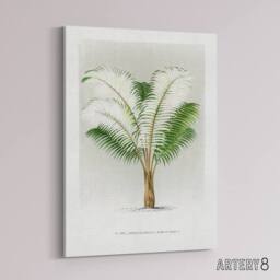 "Artery8 Ceroxylon Anticola Palm Tree Kerchove Canvas Wall Art Print in White - Size: W12"" x H16""" - thumbnail 2