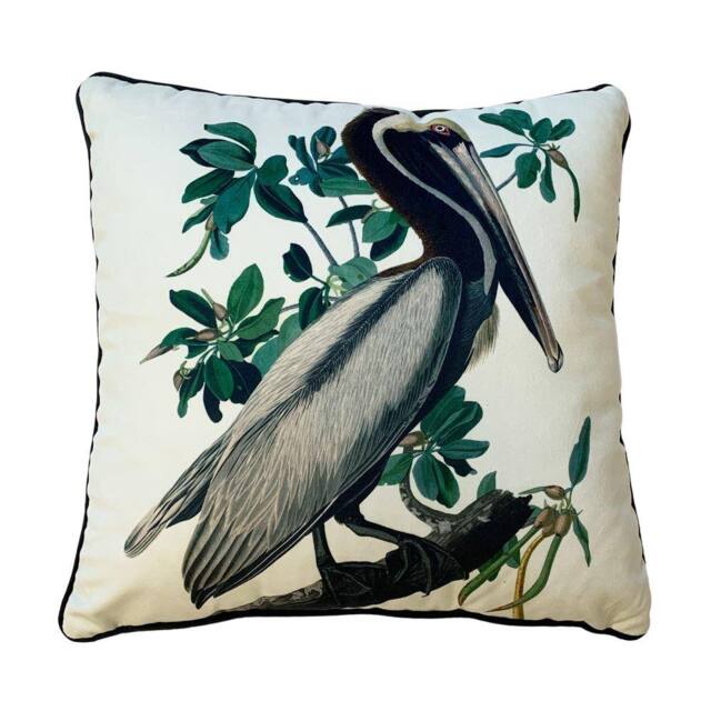 John James Audubon Brown Pelican Filled Cushion in White - image 1