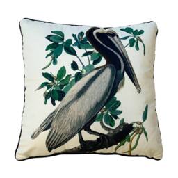 John James Audubon Brown Pelican Filled Cushion in White - thumbnail 1