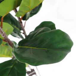 Leaf 180cm Premium Artificial Fiddle Fig Tree in Green - thumbnail 6