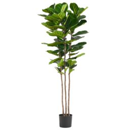 Leaf 180cm Premium Artificial Fiddle Fig Tree in Green