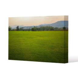 Benjamin Tate Design image of lush grass field (Canvas Print) / 61 x 91 x 4cm in Natural - Size: 61 x 91 x 4 cm - thumbnail 1