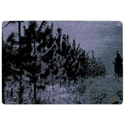 Benjamin Tate Design Star Tree Line Rug in Natural - Size: Large - thumbnail 1