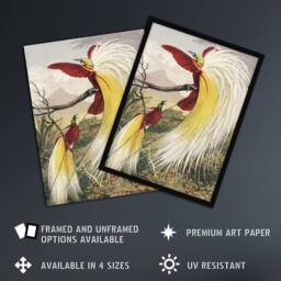 "Artery8 Bird Paradise Exotic B. Fawcett Vintage Framed Wall Art Print - Size: W12"" x H16""" - thumbnail 2