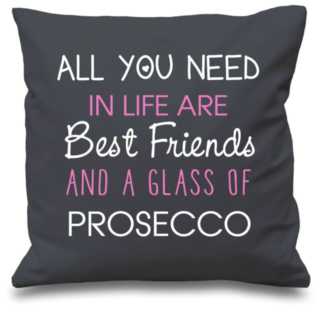 "60 SECOND MAKEOVER Grey Cushion Cover All You Need In Life Are Best Friends & A Glass Of Prosecco 16"" x 16"" Mum Friend Gift Decorative C"