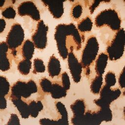 OHS Leopard Duvet Cover Bedding Set Animal Quilt Soft Pillowcase in Natural - Size: Double - thumbnail 4
