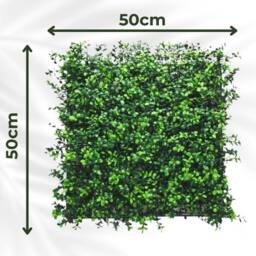 Ark Mat Boxwood Artificial Plant Wall Panel 50x50cm - Indoor & Outdoor in Green - Size: 50x50 cm - thumbnail 2