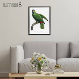 "Artery8 The Festive Amazon Parrot Levaillant Framed Canvas Wall Art Print in White - Size: W18"" x H24""" - thumbnail 3