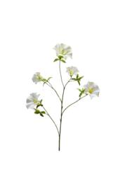 KDMD Botanica Cream Sundaville 113cm in White - thumbnail 1