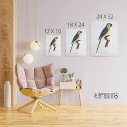 "Artery8 Blue & Yellow Macaw Parrot Levaillant Canvas Wall Art Print in White - Size: W24"" x H32""" - thumbnail 4