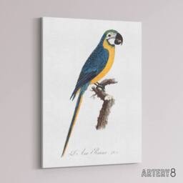 "Artery8 Blue & Yellow Macaw Parrot Levaillant Canvas Wall Art Print in White - Size: W24"" x H32""" - thumbnail 2