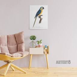 "Artery8 Blue & Yellow Macaw Parrot Levaillant Canvas Wall Art Print in White - Size: W24"" x H32""" - thumbnail 3